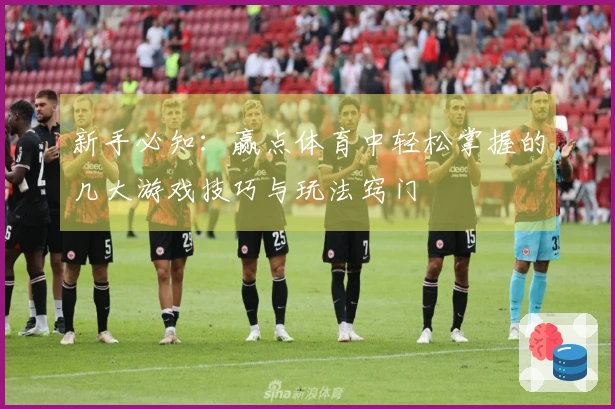 新手必知：赢点体育中轻松掌握的几大游戏技巧与玩法窍门