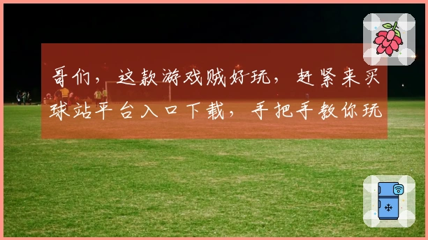 哥们，这款游戏贼好玩，赶紧来买球站平台入口下载，手把手教你玩到飞起！
